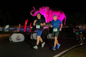 BIB: 
                            <button type="button" onclick="openModal(26542770)" class="btn btn-primary btn-sm float-right btn-popup" data-toggle="modal" data-target=".modal-high-quality">
                        <i class="fas fa-shopping-cart"></i> Add to Cart
                    </button>
                                            <button type="button" onclick="isThisMe(26542770, true)" class="btn btn-success btn-sm float-right btn-popup btn-isme hidden" data-toggle="tooltip" data-placement="bottom" title="นี่คือรูปของคุณใช่ไหม คลิกที่นี่เพื่อเอาเข้าอัลบั้ม">
                        <i class="fas fa-plus"></i> Add to album
                    </button>
                    <button type="button" onclick="isThisMe(26542770, false)" class="btn btn-warning btn-sm float-right btn-popup btn-isnotme hidden">
                        <i class="fas fa-ban"></i> Remove from album
                    </button>